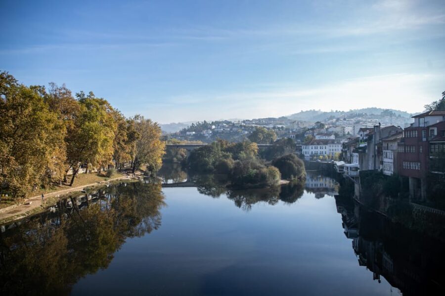 From Porto: Full-Day Douro Valley & Wine Tour with Lunch - Lunch on a wine estate: the meal is part of the tour