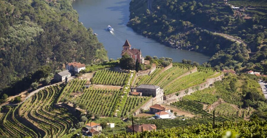 From Porto: Premium Douro Valley Small-Group Wine Tour - Key reasons this Douro tour gets repeat bookings