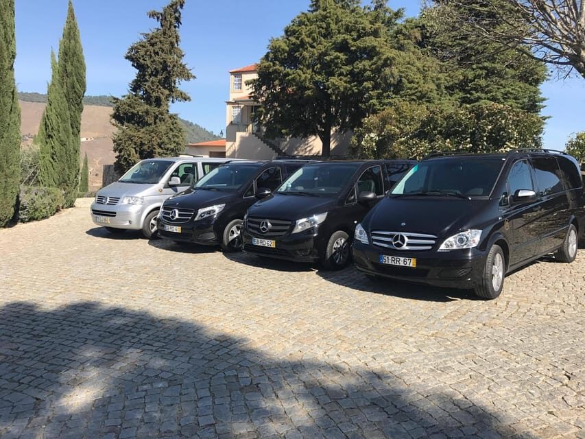 From Porto: Premium Douro Valley Small-Group Wine Tour - Stop Two: second producer perspective plus tastings that round out the story