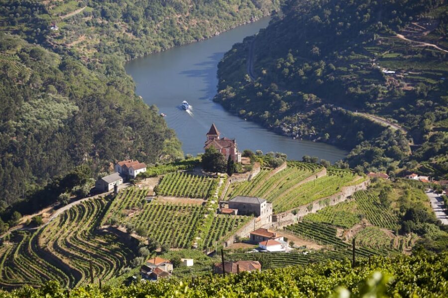 From Porto: Premium Douro Valley Small-Group Wine Tour - What you’ll actually taste (and why that mix is smart)