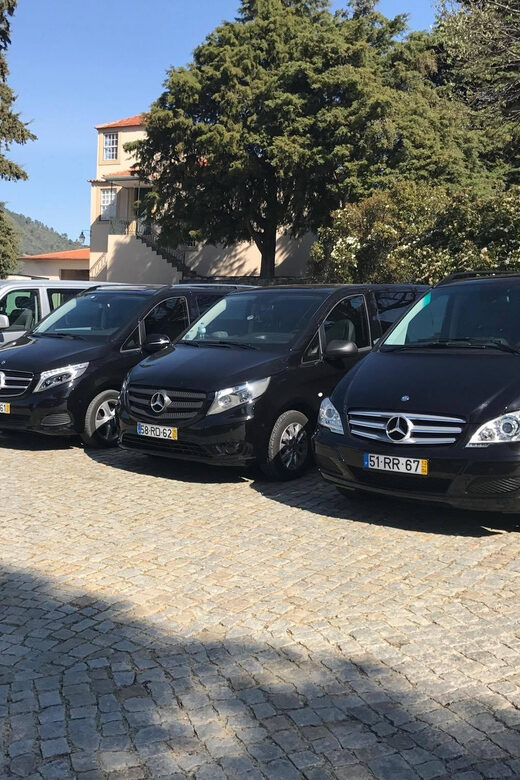 From Porto: Premium Douro Valley Small-Group Wine Tour - Price and logistics: what you’re paying for at about $123 per person