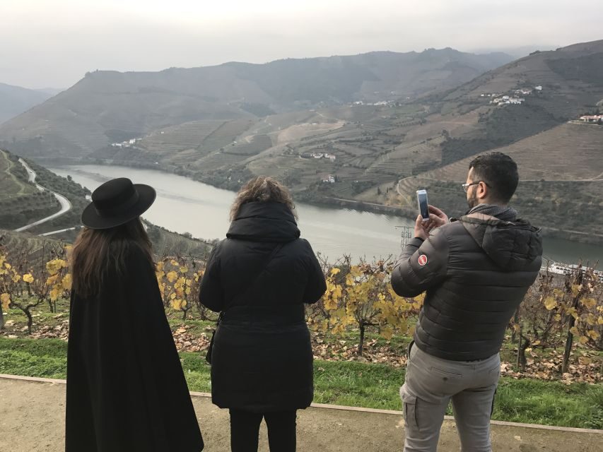 From Porto: Private Douro Valley Tour with Cruise and Wine - Who This Douro Tour Suits Best