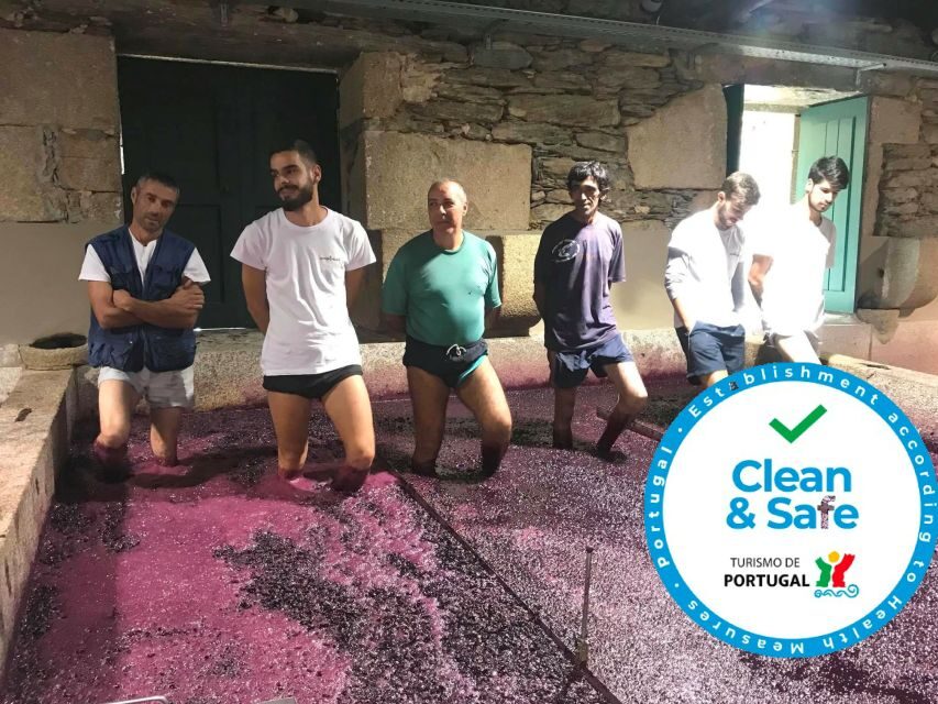 From Porto: Private Douro Valley Tour with Cruise and Wine - Lunch in the Douro Valley: Not Included, But the Timing Usually Works