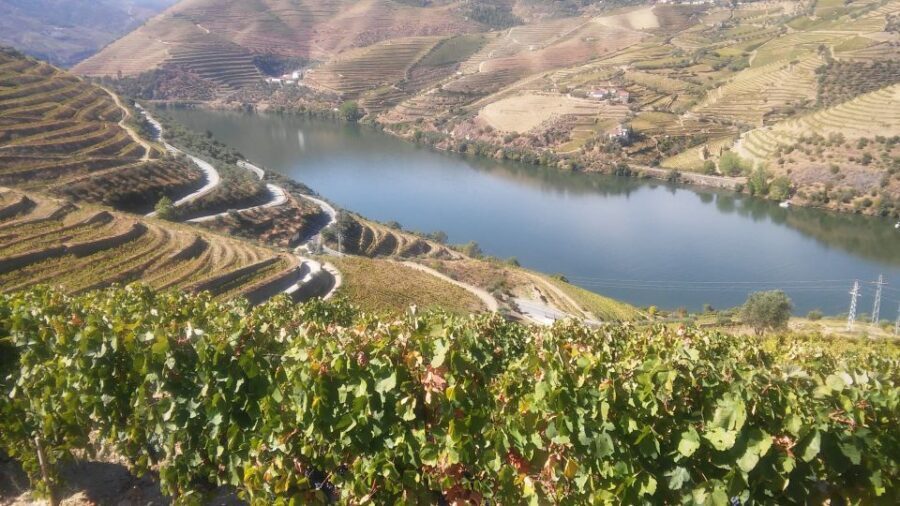 From Porto: Private Douro Valley Tour with Cruise and Wine - The River Cruise on the Douro: The One-Hour Reset