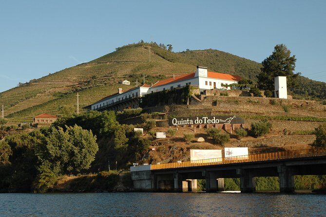 From Porto Private Tour Douro Valley two Wineries, Lunch and Boat. - Porto to Douro Valley: how the day actually flows