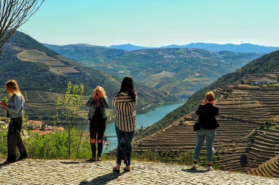 From Porto: Small-Group Douro Valley Wine Tour Lunch & Boat - The quiet viewpoint breaks that make the drive feel worth it