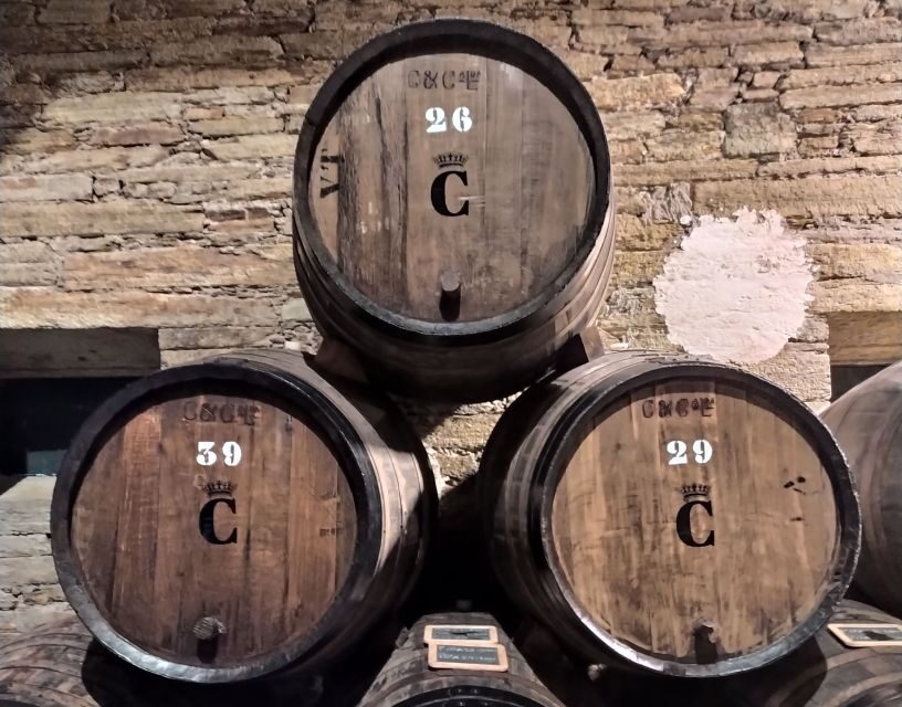 From Porto: Small-Group Douro Valley Wine Tour Lunch & Boat - Timing, pacing, and what 9.5 hours really feels like