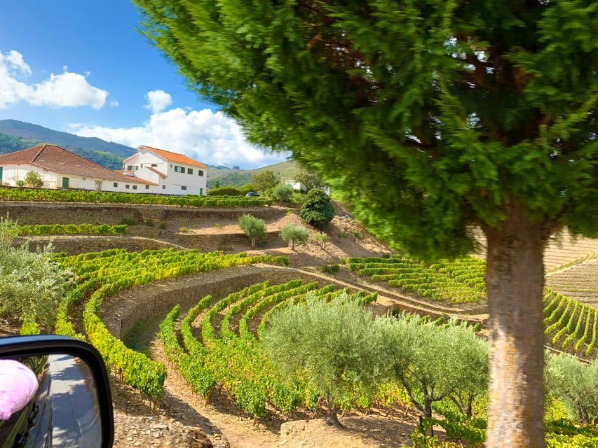 From Porto: Small-Group Douro Valley Wine Tour Lunch & Boat - Who this tour fits best (and who should skip it)