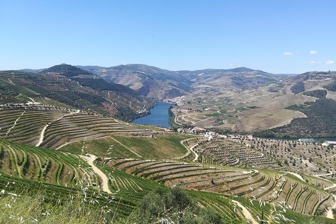 Full-Day Porto and Douro Valley Private Wine Tour with Lunch - Two Tastings, Traditional vs Modern: The Best Reason to Choose This Tour