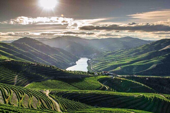 Full day Tour to Douro Valley from Porto - Amarante First: Church Walks, São Gonçalo Bridge Views, and Pastry Stops