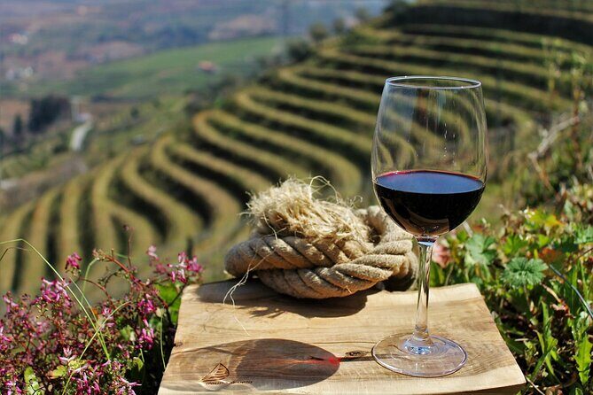 Genuine Douro Valley Tour: Visit 2 Wineries, Lunch & River Cruise - The N222 road views: sit up front if you want the best angles