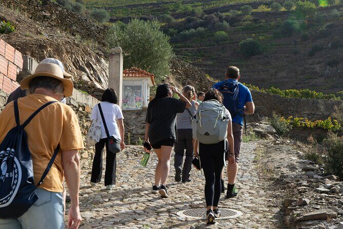 HIKING in the Douro Valley - Vineyard hiking in the Douro Valley is the right kind of active