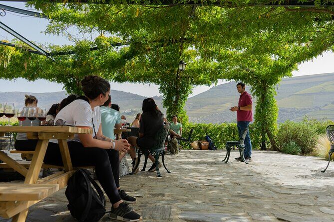 HIKING in the Douro Valley - Optional Douro River boat cruise: upgrade wisely, especially in peak season