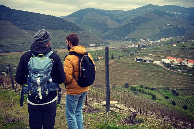 HIKING in the Douro Valley - The drive home via Pinhão to Régua on N222