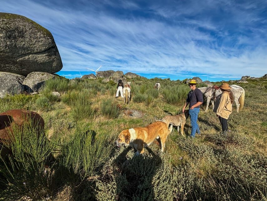 Mountain Horseback Ride & Lunch - Douro Valley Mountains on Horseback: a slow, scenic 2 hours