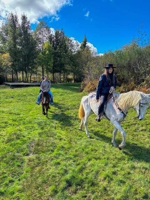Mountain Horseback Ride & Lunch - What the Forest Lunch Actually Delivers
