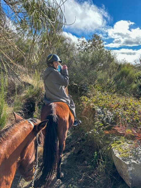 Mountain Horseback Ride & Lunch - Wine Tasting at a Family Winery (and a little hands-on)