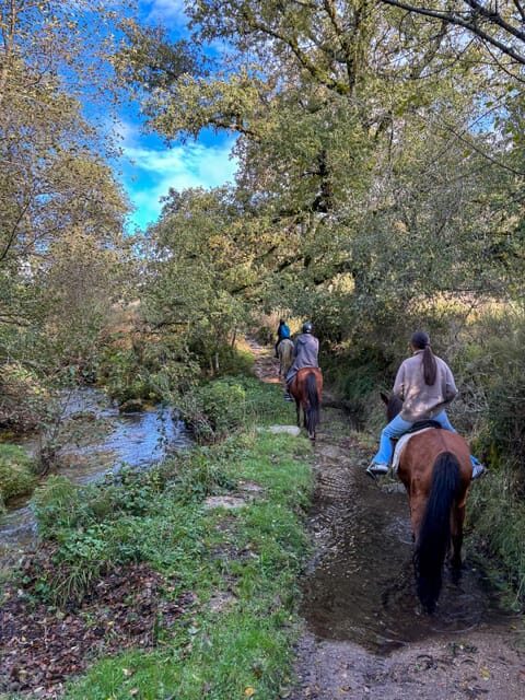 Mountain Horseback Ride & Lunch - Pickup and Drop-Off: choosing the right starting point