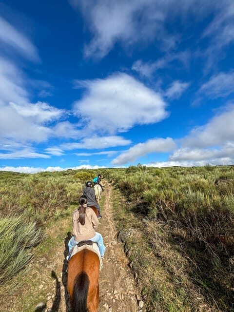 Mountain Horseback Ride & Lunch - Guide Quality and Group Rhythm: Ruben and Rodrigo set the tone