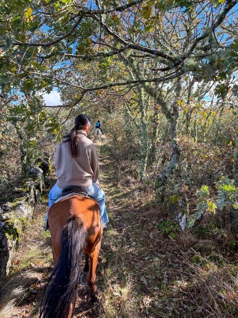 Mountain Horseback Ride & Lunch - Weather Reality in the Douro: rain days can still be great