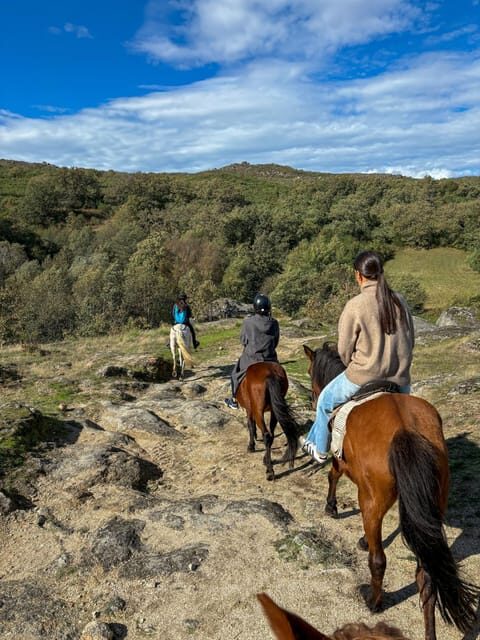 Mountain Horseback Ride & Lunch - Brunch and a Viewpoint Start: pastries, juice, and port