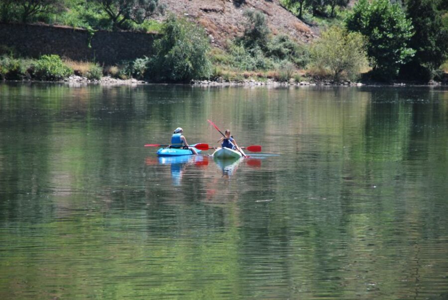 Pinhão: 4 Hour Douro Valley Kayak Rental - Key Things That Make This Douro Kayak Rental Worth Your Time