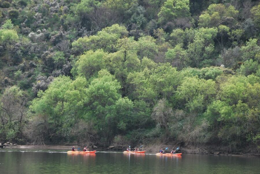 Pinhão: 4 Hour Douro Valley Kayak Rental - Pinhão Kayaking: Why This 4-Hour Stretch Works