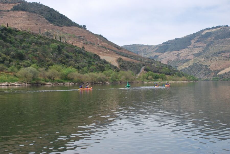 Pinhão: 4 Hour Douro Valley Kayak Rental - What the Route Feels Like: Main River, Calmer Side Options