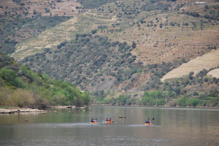 Pinhão: 4 Hour Douro Valley Kayak Rental - Vineyard Hillsides From Water Level (And How to Enjoy Them)
