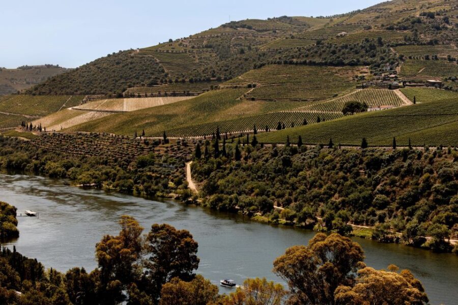Pinhão: Douro River Boat Tour with Lunch - Timing, Comfort, and Practical Tips to Get the Best Seat