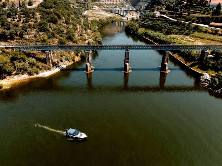Pinhão: Douro River Boat Tour with Lunch - Getting Started at Deltatur Pier and Boarding the 1h15 Douro Cruise