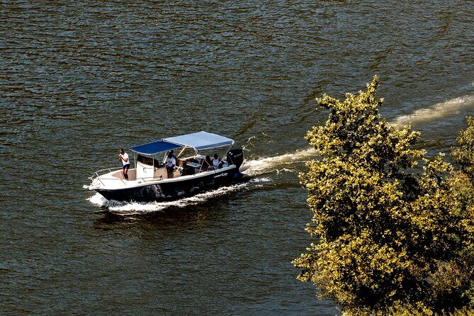 Pinhão: Douro River Cruise with Lunch Included - Getting On the Boat: The 1h15 Douro Stretch With a Welcome Drink