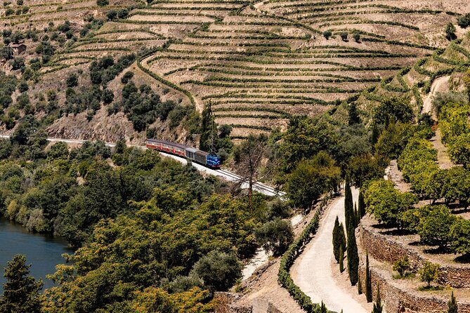 Pinhão: Douro River Cruise with Lunch Included - Port or Sparkling Wine, Plus the 18+ Rule