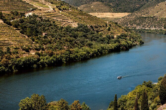 Pinhão: Douro River Cruise with Lunch Included - Who This Trip Suits (and Who Should Pick Another Option)
