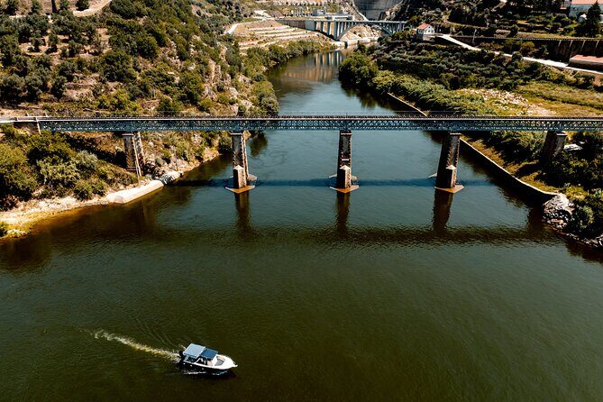 Pinhão: Douro River Cruise with Lunch Included - Before You Go: Quick Tips That Make the Day Easier