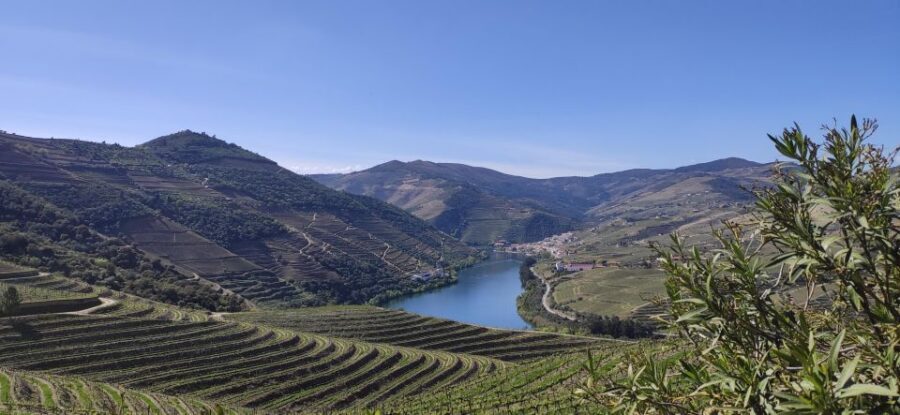 Pinhão: Douro Valley with Wine Tasting, Boat Trip and Lunch - The minivan ride that keeps you moving (and comfortable)