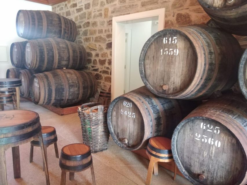 Pinhão: Douro Valley with Wine Tasting, Boat Trip and Lunch - Lunch in Pinhão: Portuguese food plus port with your meal