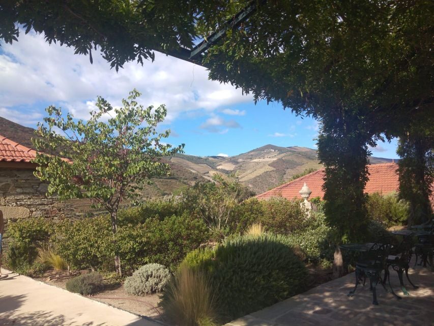 Pinhão: Douro Valley with Wine Tasting, Boat Trip and Lunch - Quinta stop number two: another look at Port and Douro character
