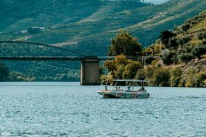 Pinhão: Electric Boat Experience 1h - Taste of Two Wines - The wine tasting: two local pours, no heavy pressure
