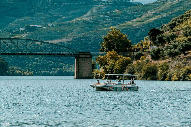 Pinhão: Electric Boat Experience 1h - Taste of Two Wines - The wine tasting: two local pours, no heavy pressure