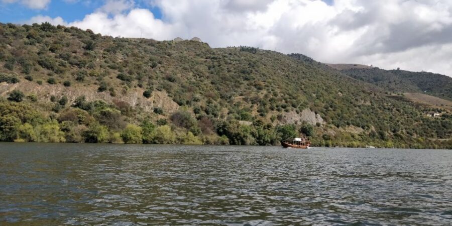 Pinhão: Private Rabelo Boat Tour along the River Douro - Who should book this Pinhão Douro Rabelo tour