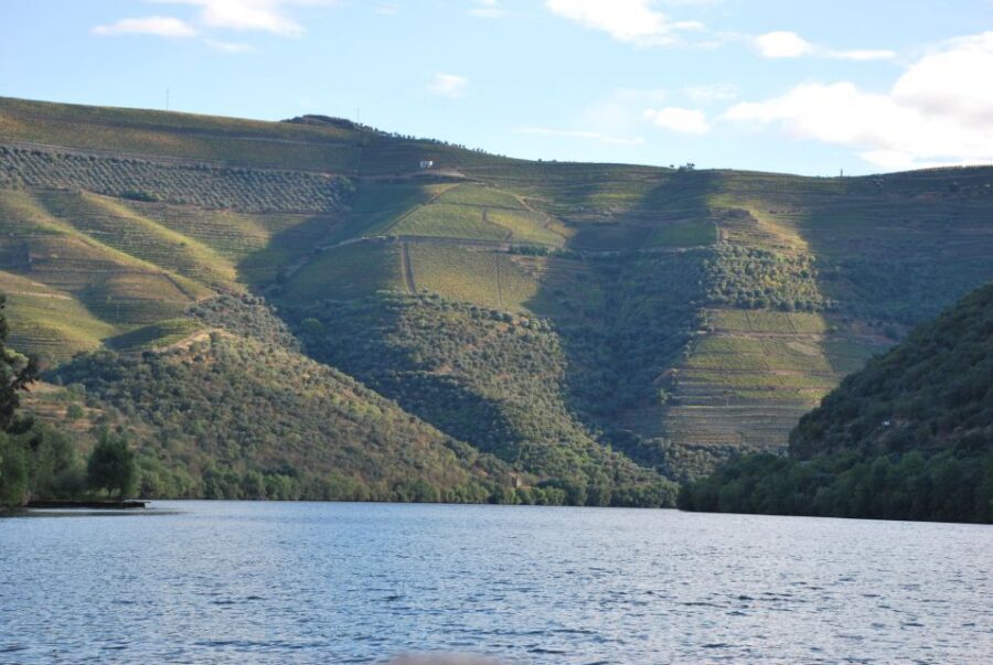 Pinhão: Private Rabelo Boat Tour along the River Douro - The Roncão turnaround: why you’ll see the same stretch twice