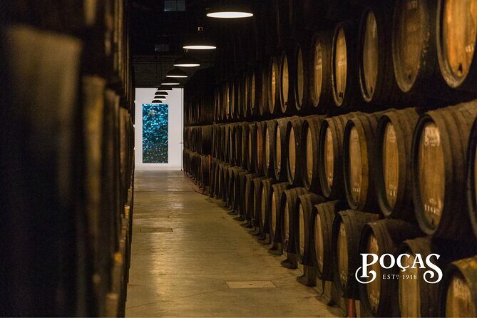 Poças Guided Visit and Wine Tasting of 2 DOC Douro & 1 Port Wine - Key Things I’d Highlight Before You Go