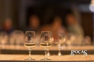 Poças Guided Visit and Wine Tasting of 2 DOC Douro & 1 Port Wine - The Tasting Order: DOC Douro White Trava Linguas and Reserve Red