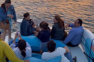 Port : 6 bridges tour with Portuguese custard tart & Port wine - Dom Luís I Bridge and the 20-minute included visit: the Porto center from both sides