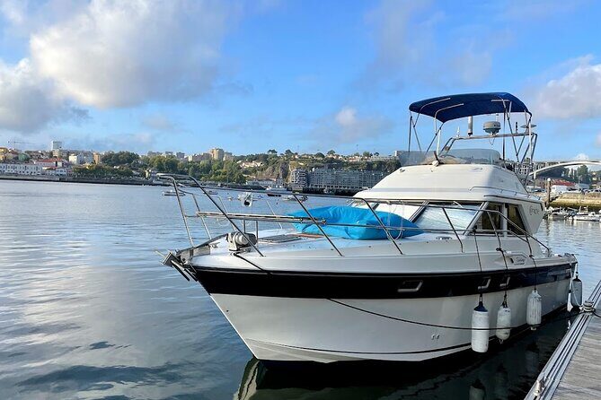 Port : 6 bridges tour with Portuguese custard tart & Port wine - Foz do Douro: your 60-minute sunset stop with a real toast