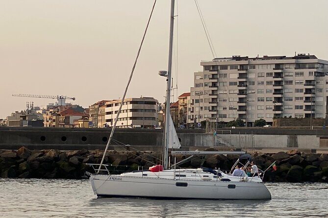 Port : Douro River Cruise (2 h) – Wine & Scenic Views - Gardens, River Quiet, and a Gothic Church With a Baroque Surprise