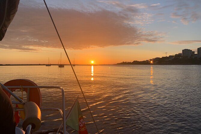 Port : Sail, Sip & Savor : Douro Boat Tour With Wine Tasting - Estuario do Douro Nature Reserve: a calmer stretch with real bird energy
