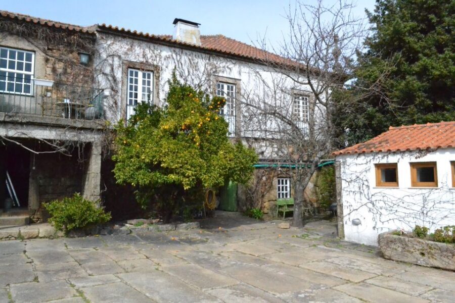 Porto: 3 Douro Valley Vineyards Tour with Lunch - Why this Douro Valley day tour makes sense from Porto