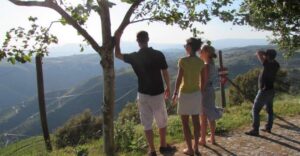 Porto: 3 Douro Valley Vineyards Tour with Lunch - Stop 1: a family-owned vineyard and your first tasting round